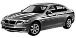 BMW F10 P3925 Fault Code